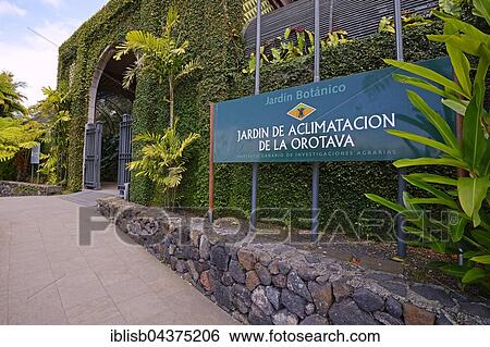 Entrance, Jardín de aclimatación de la Orotava, Botanico, Botanical Garden Tenerife, Canary Islands, Spain, Europe View Large Photo Image Stock Photograph - Entrance, Jardín de aclimatación de la Orotava, Botanico, Botanical Garden Tenerife, Canary Islands, Spain, Europe. Fotosearch