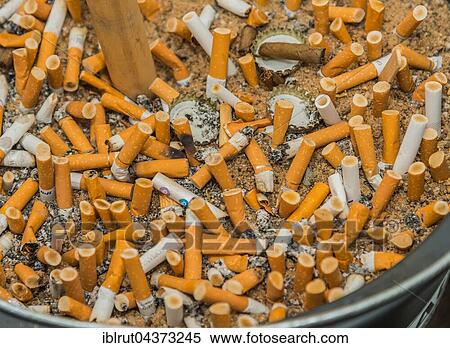 Extinguished cigarettes, cigarette butts in an ashtray View Large Photo Image Stock Photography - Extinguished cigarettes, cigarette butts in an ashtray. Fotosearch