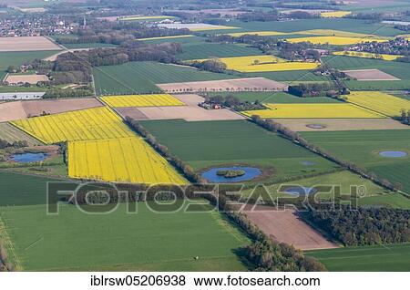 Felder, Goldenstedt-Lutten, County Vechta, Lower Saxony, Germany, Europe View Large Photo Image Stock Photo - Felder, Goldenstedt-Lutten, County Vechta, Lower Saxony, Germany, Europe. Fotosearch