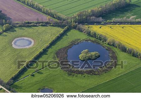 Stock Photograph - Felder, Goldenstedt-Lutten, County Vechta, Lower Saxony, Germany, Europe. Fotosearch