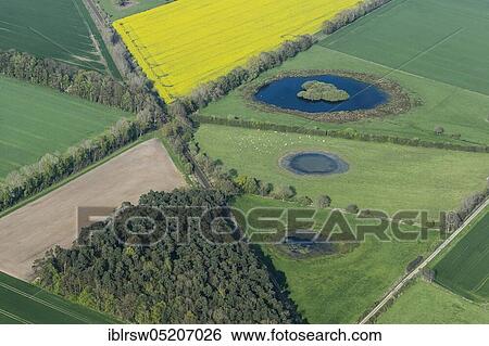 Stock Photograph - Felder, Goldenstedt-Lutten, County Vechta, Lower Saxony, Germany, Europe. Fotosearch