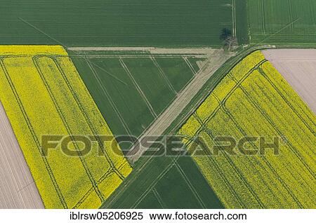 Felder, Goldenstedt, Vechta County, Lower Saxony, Germany, Europe View Large Photo Image Stock Photography - Felder, Goldenstedt, Vechta County, Lower Saxony, Germany, Europe. Fotosearch