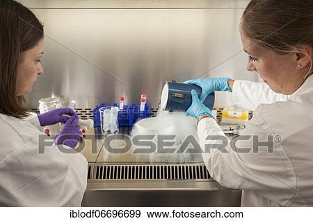 Female scientists of the biology department during RNA isolation and genetic engineering in the laboratories of the University of Duisburg-Essen View Large Photo Image Stock Photo - Female scientists of the biology department during RNA isolation and genetic engineering in the laboratories of the University of Duisburg-Essen. Fotosearch