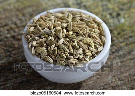 Fennelseeds (Foeniculum vulgare) View Large Photo Image Picture - Fennelseeds (Foeniculum vulgare). Fotosearch