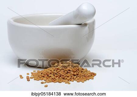 Stock Photo - Fenugreek ( Trigonella foenum-graecum) seeds with grating bowl, mortar. Fotosearch