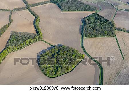 Field shrubs and bushes, Dinklage, district of Vechta, Lower Saxony, Germany, Europe View Large Photo Image Stock Photo - Field shrubs and bushes, Dinklage, district of Vechta, Lower Saxony, Germany, Europe. Fotosearch