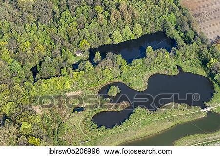 Stock Photograph - Fish ponds, Hopener Wald, Lohne, County Vechta, Lower Saxony, Germany, Europe. Fotosearch