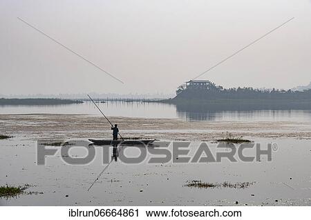 Fisherman in his canoe fishing, Loktak Lake, Moirang, Manipur, India, Asia View Large Photo Image Stock Image - Fisherman in his canoe fishing, Loktak Lake, Moirang, Manipur, India, Asia. Fotosearch