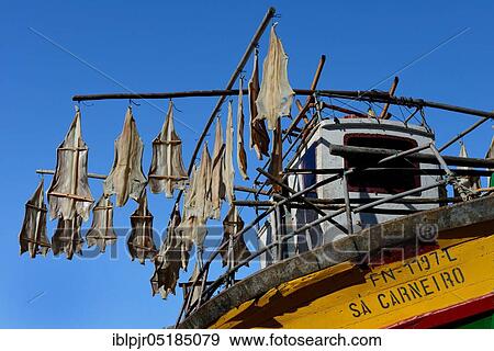 Stock Photo - Fishing boat, drying hung stockfish, Madeira, Portugal, Europe. Fotosearch