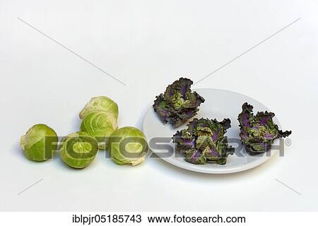 Stock Image - Flower Sprouts and Brussels sprouts, cabbage florets, flower sprouts, cross between Brussels sprouts and kale. Fotosearch