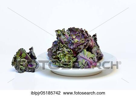 Stock Image - Flower Sprouts, cabbage florets, flower sprouts, cross between Brussels sprouts and kale. Fotosearch