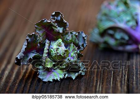 Stock Photo - Flower Sprouts, cabbage florets, flower sprouts, cross between Brussels sprouts and kale. Fotosearch