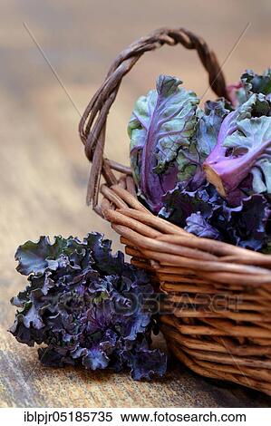Flower Sprouts in baskets, cabbage florets, flower sprouts, cross between Brussels sprouts and kale View Large Photo Image Stock Photography - Flower Sprouts in baskets, cabbage florets, flower sprouts, cross between Brussels sprouts and kale. Fotosearch