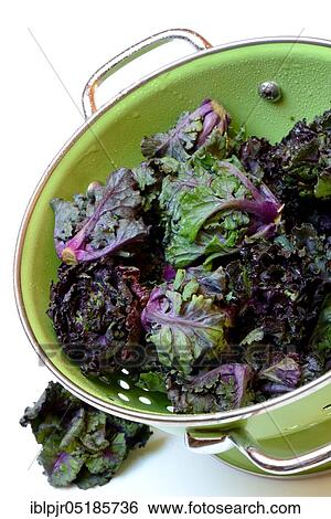 Stock Photograph - Flower Sprouts in sieve, cabbage florets, flower sprouts, cross between Brussels sprouts and kale. Fotosearch