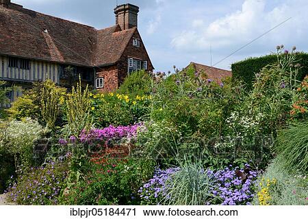 Flowerbed, The Long border, Long Border, Garden of Great Dixter, Northiam, East Sussex, England, Great Britain View Large Photo Image Stock Image - Flowerbed, The Long border, Long Border, Garden of Great Dixter, Northiam, East Sussex, England, Great Britain. Fotosearch
