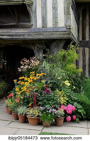 Flowers in pots, Garden Great Dixter, Northiam, East Sussex, England, Great Britain View Large Photo Image Stock Image - Flowers in pots, Garden Great Dixter, Northiam, East Sussex, England, Great Britain. Fotosearch