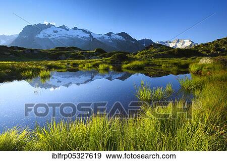 Stock Photo - Foot horns and bath horns, Hohfluh, Moosfluh, Valais, Switzerland, Europe. Fotosearch