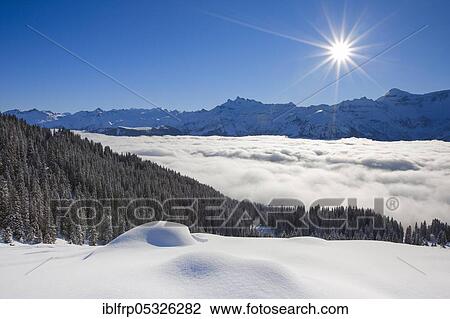 Freiberge Kaerpf, Glarus Alps, Switzerland, Freiberge Kärpf, Europe View Large Photo Image Stock Image - Freiberge Kaerpf, Glarus Alps, Switzerland, Freiberge Kärpf, Europe. Fotosearch