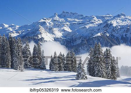 Freiberge Kaerpf, Glarus Alps, Switzerland, Freiberge Kärpf, Europe View Large Photo Image Stock Photo - Freiberge Kaerpf, Glarus Alps, Switzerland, Freiberge Kärpf, Europe. Fotosearch