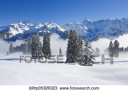 Stock Image - Freiberge Kärpf, Glarus Alps, Switzerland, Europe. Fotosearch