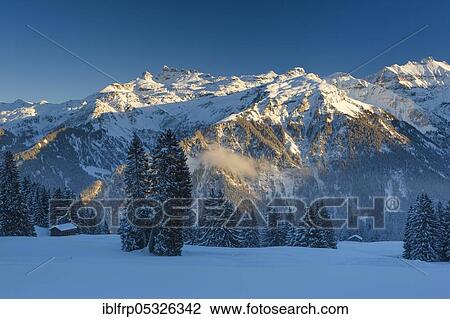 Stock Image - Freiberge Kärpf, view from Braunwald, Glarner Alps, Switzerland, Europe. Fotosearch
