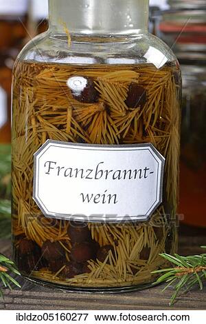 French brandy, spruce twigs, juniper berries, spirit View Large Photo Image Stock Photo - French brandy, spruce twigs, juniper berries, spirit. Fotosearch