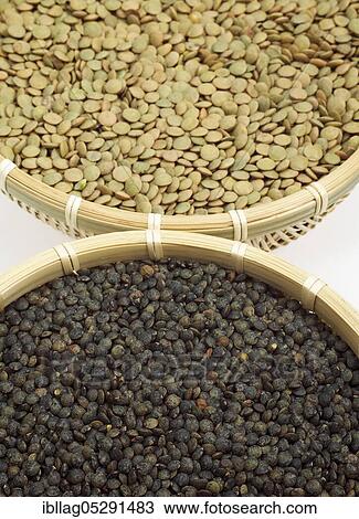 French green Puy lentils (lens esculenta) and blond lentils from St Flour View Large Photo Image Stock Image - French green Puy lentils (lens esculenta) and blond lentils from St Flour. Fotosearch