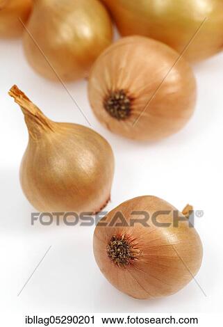 Stock Image - French onions (allium cepa) named Grelot against white background. Fotosearch