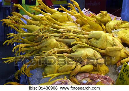 Stock Photo - Fresh chicken, Banzaan Fresh Market, Patong Beach, Phuket, Thailand, Asia. Fotosearch