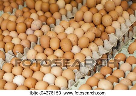 Fresh eggs, free-range eggs in an egg carton on a market stall, Bremen, Germany, Europe View Large Photo Image Stock Image - Fresh eggs, free-range eggs in an egg carton on a market stall, Bremen, Germany, Europe. Fotosearch