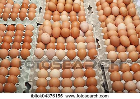 Fresh eggs, free-range eggs in an egg carton on a market stall, Bremen, Germany, Europe View Large Photo Image Stock Photography - Fresh eggs, free-range eggs in an egg carton on a market stall, Bremen, Germany, Europe. Fotosearch