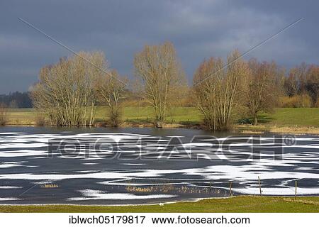Frozen lake on the Lower Rhine, February, Rees, Lower Rhine, North Rhine-Westphalia, Germany, Europe View Large Photo Image Stock Photo - Frozen lake on the Lower Rhine, February, Rees, Lower Rhine, North Rhine-Westphalia, Germany, Europe. Fotosearch