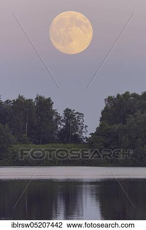 Full moon over the Dammer mountain lake, Dammer Berge, Lower Saxony, Germany, Europe View Large Photo Image Stock Image - Full moon over the Dammer mountain lake, Dammer Berge, Lower Saxony, Germany, Europe. Fotosearch