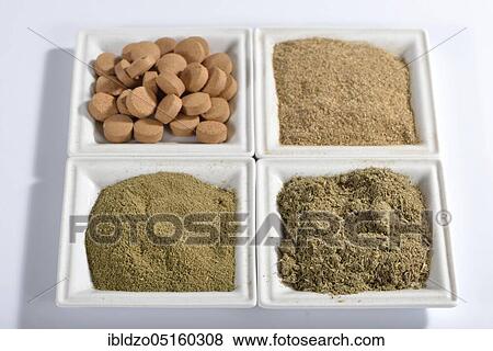 Galanga pellets, tragacanth, quinces, stag's tongue herb (Phyllitis scolopendrium) (Anacyclus pyrethrum) (Thymus serpyllum) View Large Photo Image Stock Photo - Galanga pellets, tragacanth, quinces, stag's tongue herb (Phyllitis scolopendrium) (Anacyclus pyrethrum) (Thymus serpyllum). Fotosearch