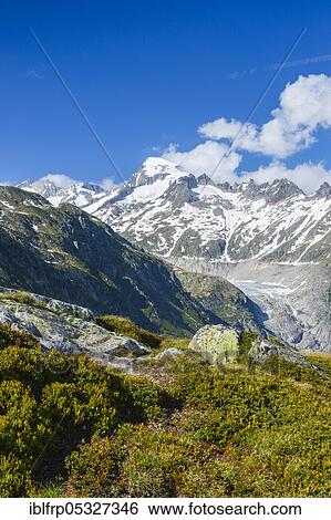 Galenstock, 3586 m, Rhone Glacier, Uri, Switzerland, Europe View Large Photo Image Stock Photograph - Galenstock, 3586 m, Rhone Glacier, Uri, Switzerland, Europe. Fotosearch