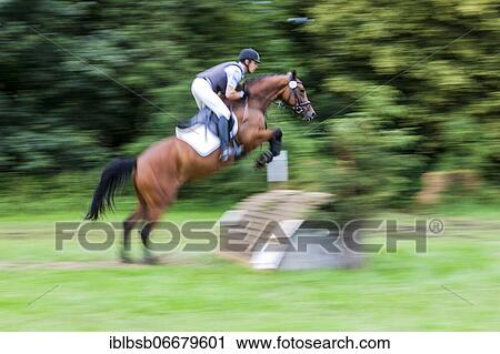 Galloping horse jumping, blurred, Laupheim, Baden-Württemberg, Germany, Europe View Large Photo Image Stock Image - Galloping horse jumping, blurred, Laupheim, Baden-Württemberg, Germany, Europe. Fotosearch