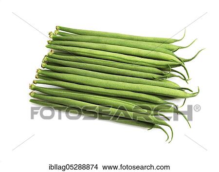 Garden Bean, Green Bean, Green Beans (phaseolus vulgaris), Papilionaceous Bean, Green Beans or French Beans, Vegetable Freesheets View Large Photo Image Picture - Garden Bean, Green Bean, Green Beans (phaseolus vulgaris), Papilionaceous Bean, Green Beans or French Beans, Vegetable Freesheets. Fotosearch