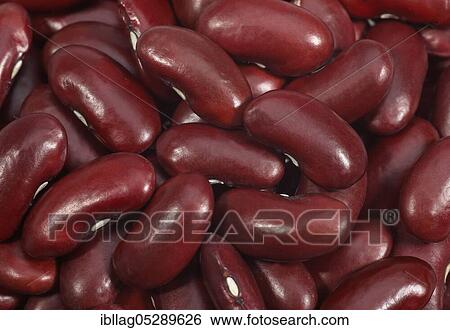 Garden Bean, Green Bean, Green Beans (phaseolus vulgaris), Papilionaceous Beans, Red Beans, Dried Vegetables View Large Photo Image Stock Photograph - Garden Bean, Green Bean, Green Beans (phaseolus vulgaris), Papilionaceous Beans, Red Beans, Dried Vegetables. Fotosearch
