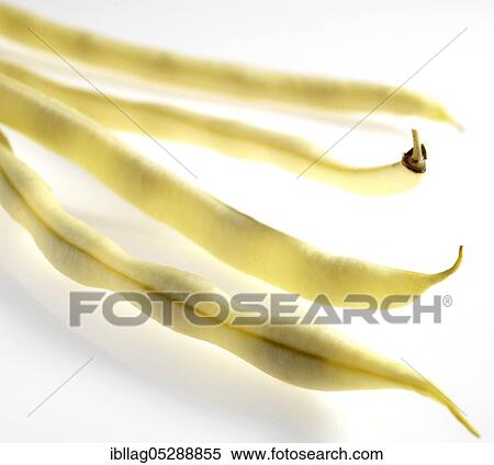 Garden Bean, Green Bean, Green Beans (phaseolus vulgaris), Papilionaceous Beans, French Yellow Beans called Mange Tout Beans, Vegetables Freisteller View Large Photo Image Stock Photography - Garden Bean, Green Bean, Green Beans (phaseolus vulgaris), Papilionaceous Beans, French Yellow Beans called Mange Tout Beans, Vegetables Freisteller. Fotosearch
