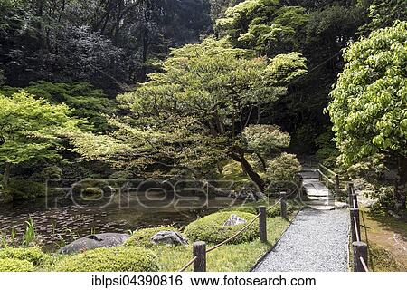 Garden of Nanzen-in, Buddhist temple, Nanzen-ji complex, Kyoto, Japan, Asia View Large Photo Image Stock Photograph - Garden of Nanzen-in, Buddhist temple, Nanzen-ji complex, Kyoto, Japan, Asia. Fotosearch