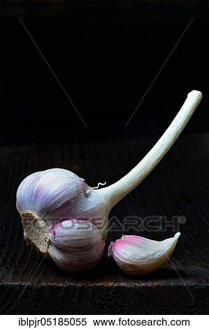 Stock Photography - Garlic ( Allium sativum)... tuber, toe.... Fotosearch
