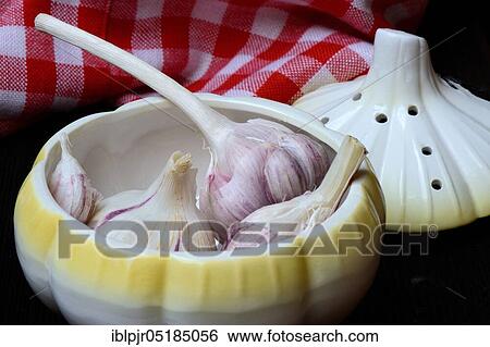 Garlic Bulbs (Allium sativum) View Large Photo Image Stock Photograph - Garlic Bulbs (Allium sativum). Fotosearch