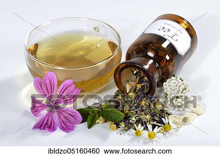 Gastritistee, mallow blossoms, chamomile. Camomile flowers, yarrow, peppermint leaves, peppermint (Mentha piperita), marshmallow (Althaea officinalis), marshmallow root (Malva sylvestris) (Achillea millefolium), S View Large Photo Image Stock Image - Gastritistee, mallow blossoms, chamomile. Camomile flowers, yarrow, peppermint leaves, peppermint (Mentha piperita), marshmallow (Althaea officinalis), marshmallow root (Malva sylvestris) (Achillea millefolium), S. Fotosearch