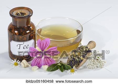 Gastritistee, mallow blossoms, chamomile. Camomile flowers, yarrow, peppermint leaves, peppermint (Mentha piperita), marshmallow (Althaea officinalis), marshmallow root (Malva sylvestris) (Achillea millefolium), S View Large Photo Image Stock Photo - Gastritistee, mallow blossoms, chamomile. Camomile flowers, yarrow, peppermint leaves, peppermint (Mentha piperita), marshmallow (Althaea officinalis), marshmallow root (Malva sylvestris) (Achillea millefolium), S. Fotosearch