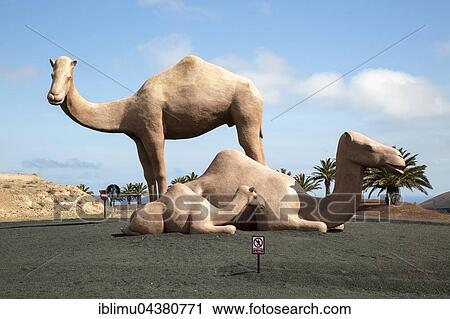 Giant dromedar family, sculpture on roundabout, Uga, Yaiza, Lanzarote, Canary Islands, Spain, Europe View Large Photo Image Stock Image - Giant dromedar family, sculpture on roundabout, Uga, Yaiza, Lanzarote, Canary Islands, Spain, Europe. Fotosearch