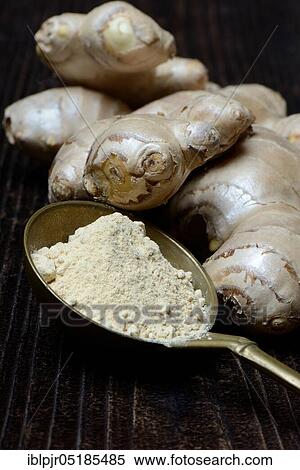 Ginger (Zingiber officinale) and powder in ladle View Large Photo Image Stock Photography - Ginger (Zingiber officinale) and powder in ladle. Fotosearch