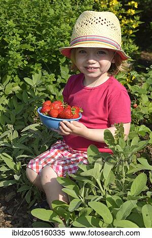 Girl eating strawberries (Fragaria x ananassa) View Large Photo Image Stock Photography - Girl eating strawberries (Fragaria x ananassa). Fotosearch