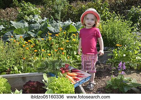 Stock Photograph - Girl in the vegetable garden. Fotosearch