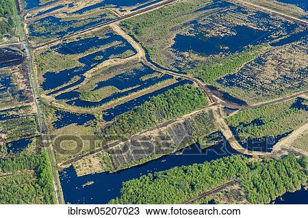 Stock Image - Goldenstedter Moor, Goldenstedt, County of Vechta, Lower Saxony, Germany, Europe. Fotosearch