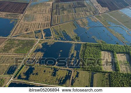 Picture - Goldenstedter Moor, Vechta County, Lower Saxony, Germany, Europe. Fotosearch